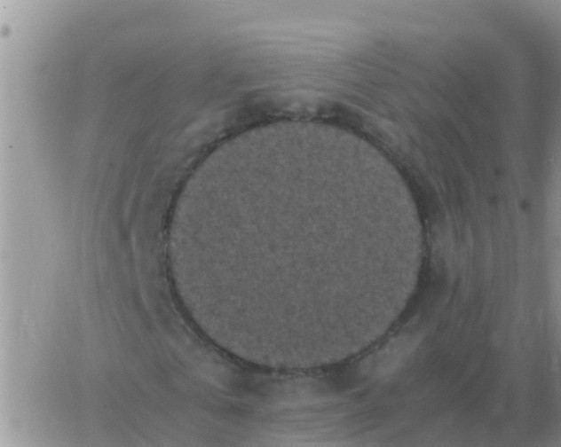 X0000065960769200603172024