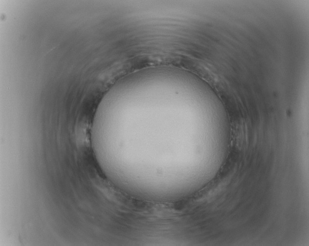 X0000065960770200603172024