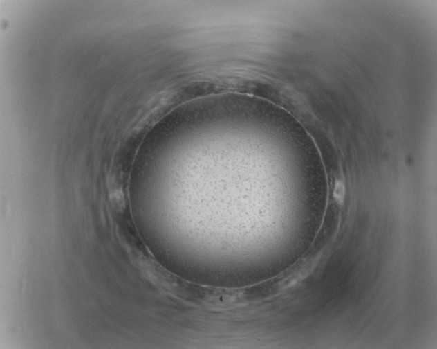 X0000065960771200603172024