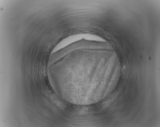 X0000065960772200603172023