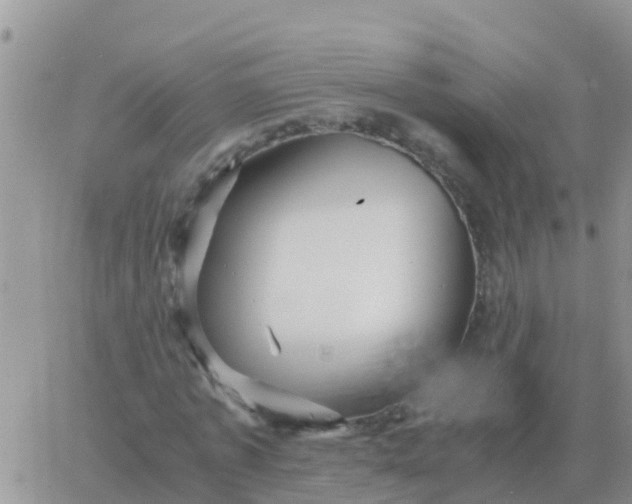 X0000065960773200603172023