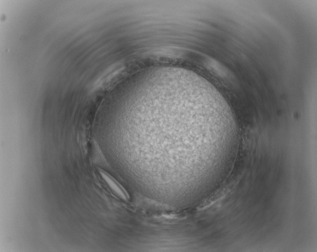 X0000065960774200603172023