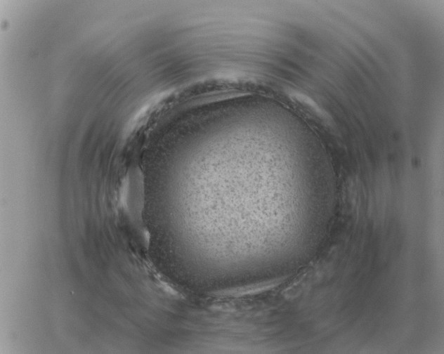 X0000065960776200603172023