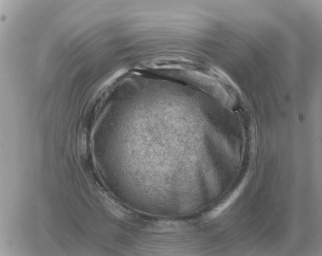 X0000065960777200603172023