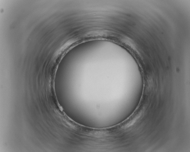 X0000065960778200603172023