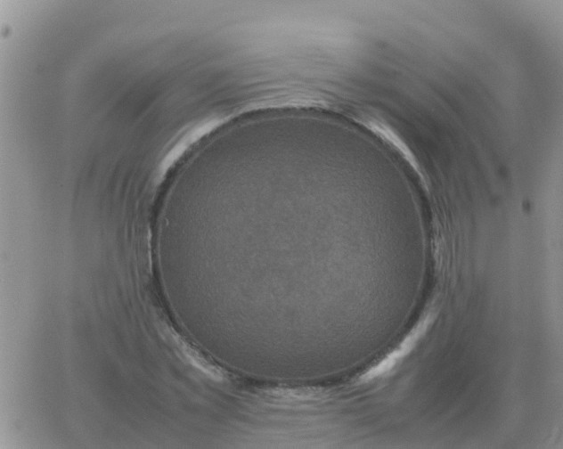 X0000065960781200603172023