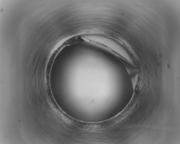 X0000065960784200603172023