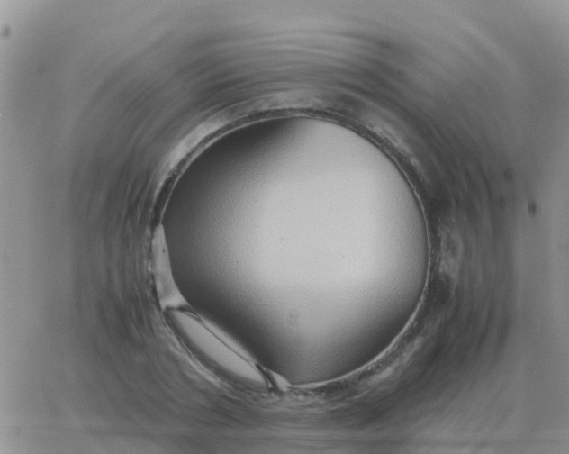 X0000065960786200603172023