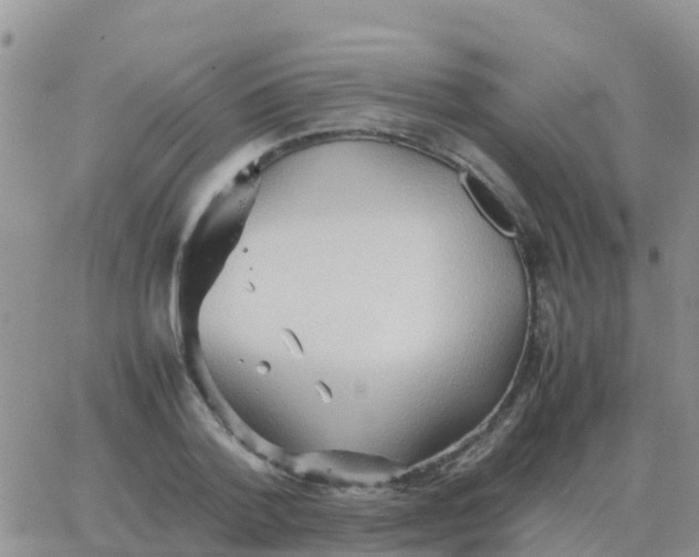 X0000065960788200603172023