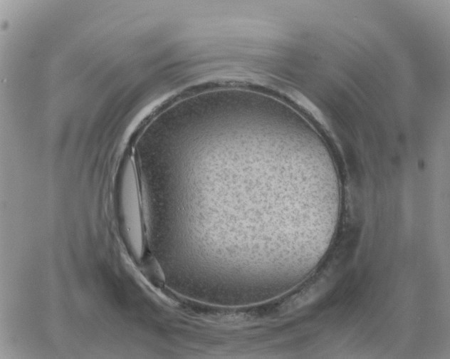 X0000065960791200603172023