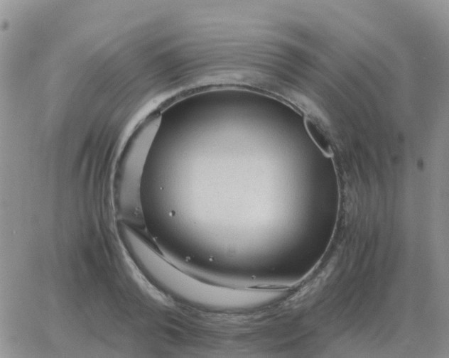 X0000065960792200603172023