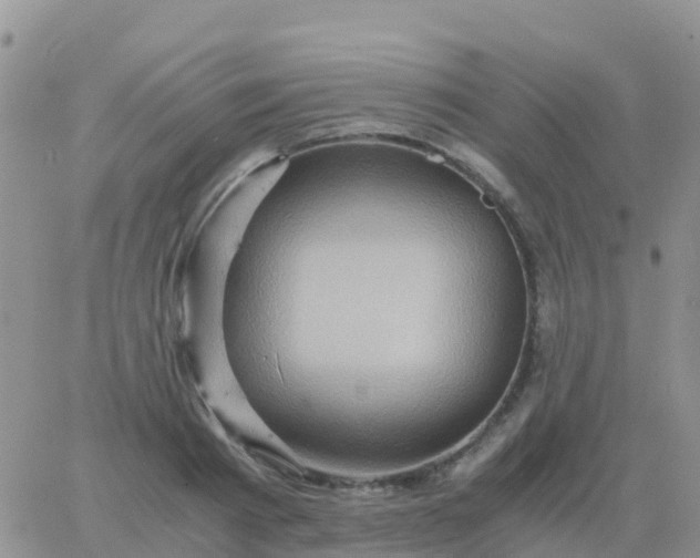 X0000065960793200603172023