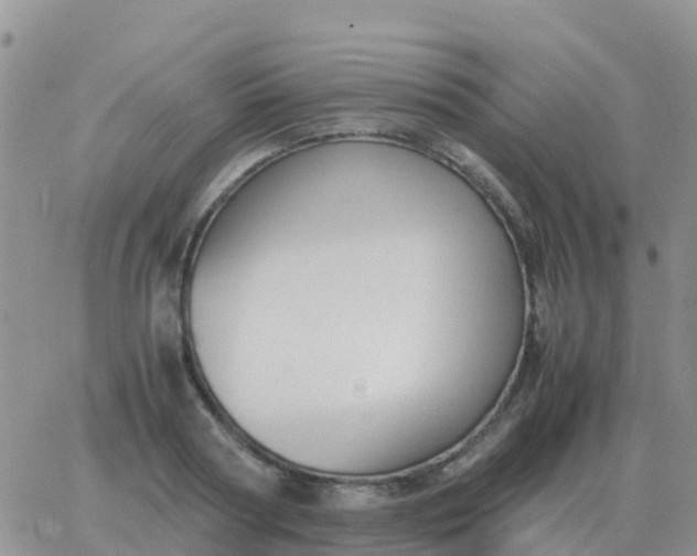 X0000065960794200603172023