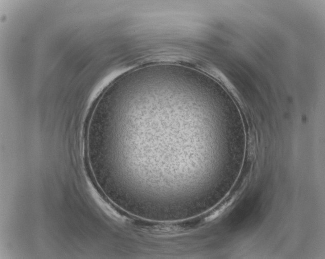 X0000065960795200603172023