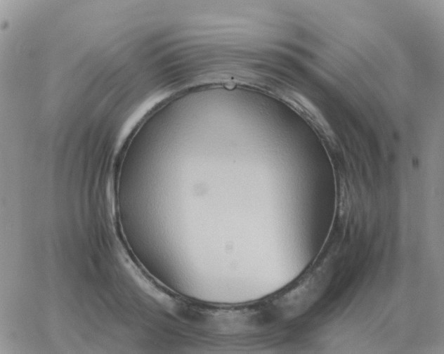 X0000065960796200603172023