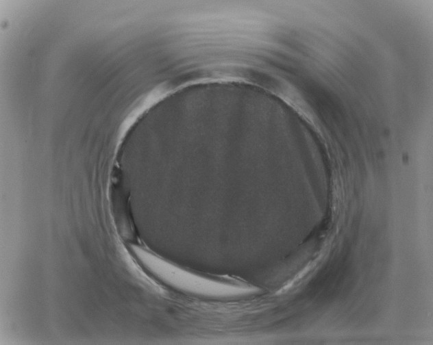 X0000065960797200603172023