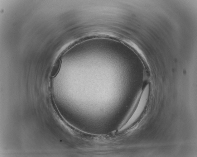 X0000065960799200603172023