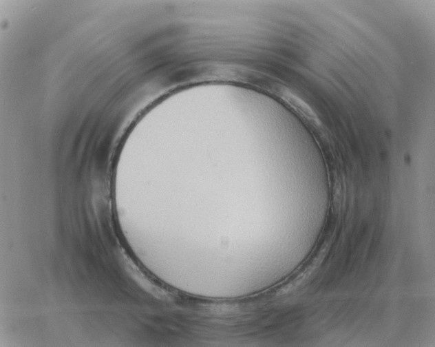 X0000065960800200603172023