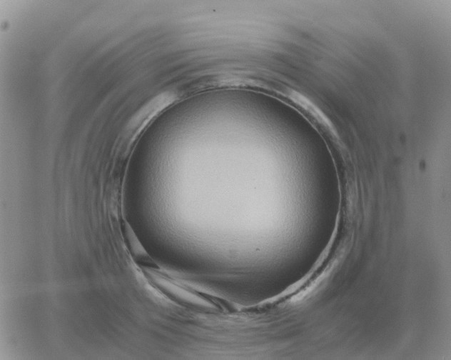 X0000065960801200603172023