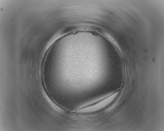 X0000065960803200603172023