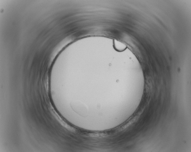 X0000065960804200603172023