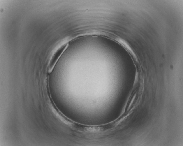 X0000065960805200603172023