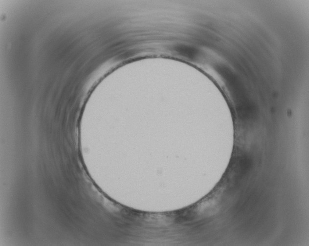 X0000065960807200603172023