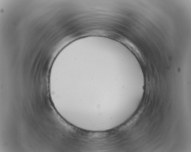 X0000065960808200603172023