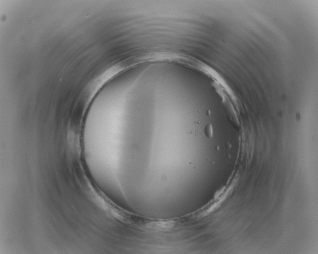 X0000065960810200603172023