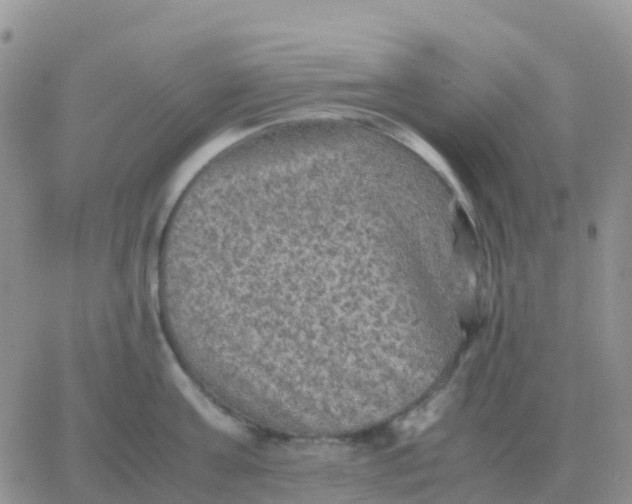 X0000065960811200603172023