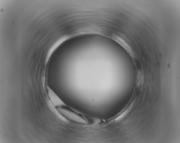 X0000065960812200603172023