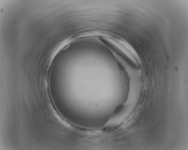 X0000065960813200603172023