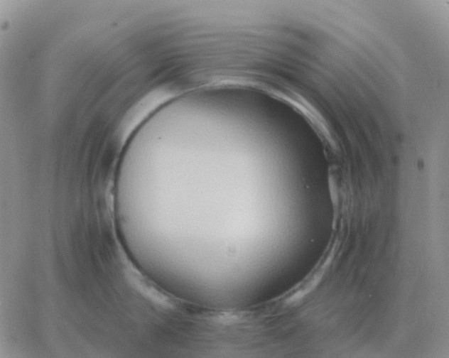 X0000065960814200603172023