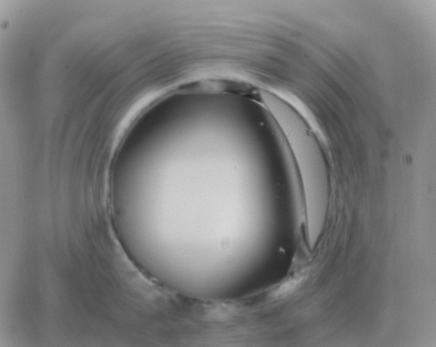 X0000065960815200603172023