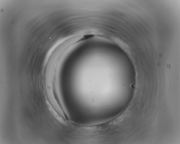 X0000065960816200603172023