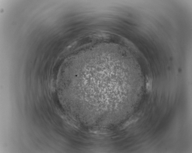 X0000065960819200603172022