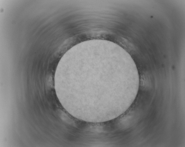 X0000065960820200603172022