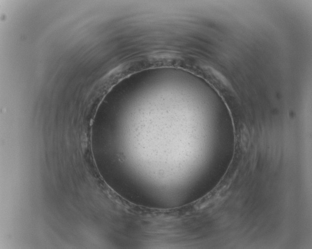 X0000065960821200603172022