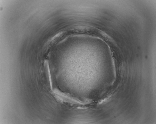 X0000065960822200603172022