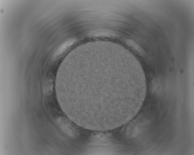 X0000065960824200603172022