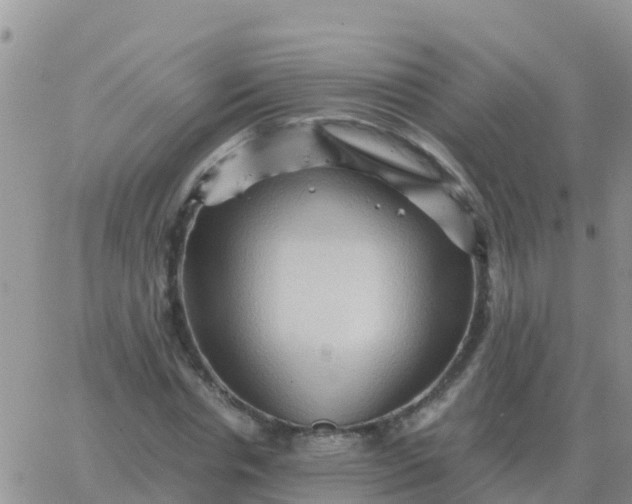 X0000065960826200603172022