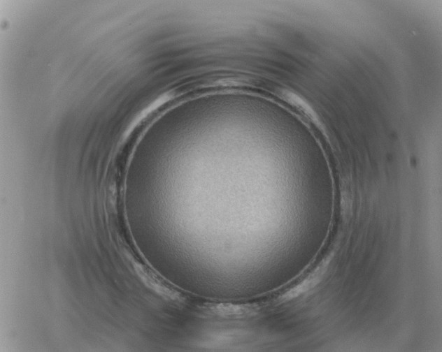 X0000065960827200603172022