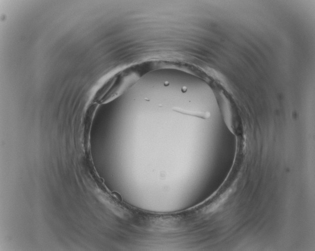 X0000065960830200603172022