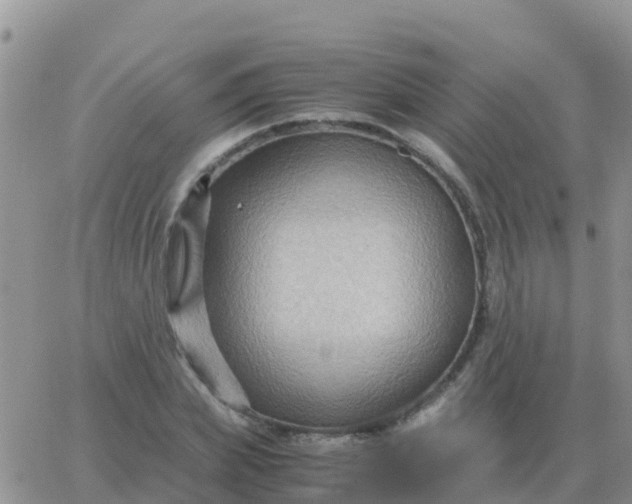 X0000065960831200603172022