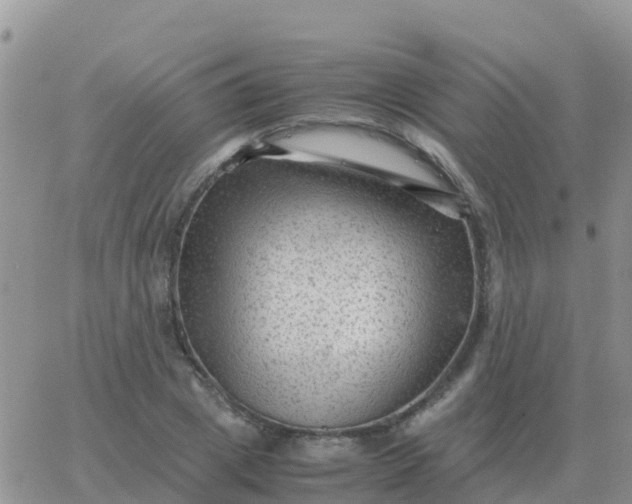 X0000065960833200603172022