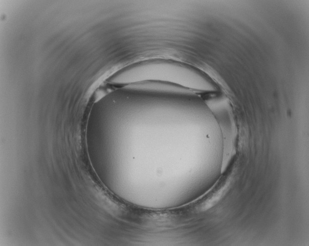 X0000065960834200603172022