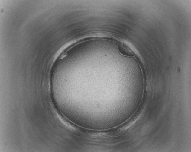 X0000065960837200603172022