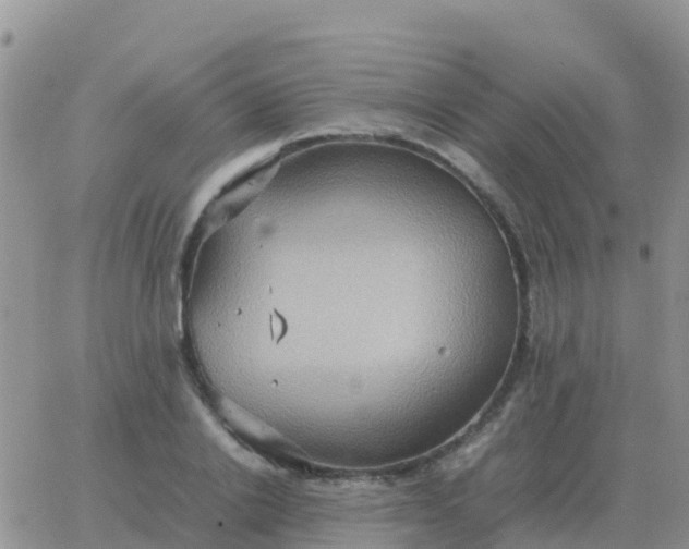 X0000065960838200603172022