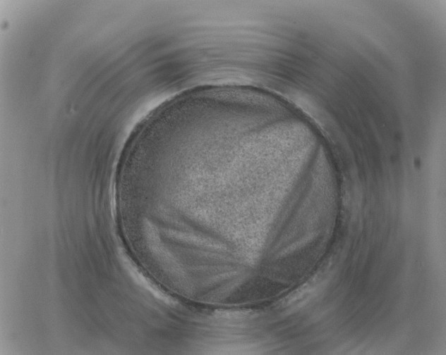 X0000065960840200603172022