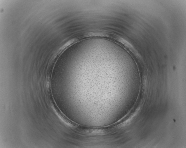 X0000065960841200603172022